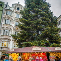 Giant Christmas tree in Innsbruck Altstadt